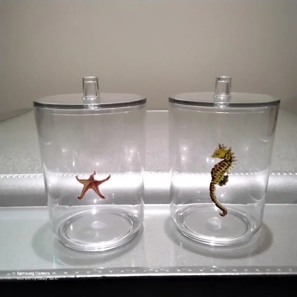 Bathroom Vanity Mattt Silver Tray, 2 Ocean Themed Q-Tip, Cotton Ball Containers